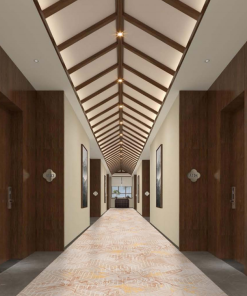 Thảm Trải Sàn Đường Dẫn DD-1000-02 Thảm trải sàn đường dẫn nội thất khách sạn